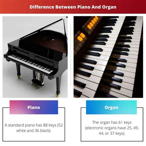 piano vs organ vs keyboard.